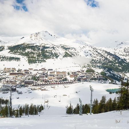 La Marmotta Campo Smith On The Ski Slopes - Happy Rentals باردونيكيا المظهر الخارجي الصورة